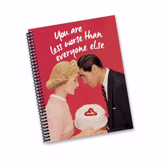 LESS THAN WORSE DIARY