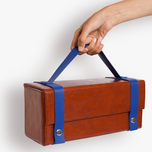 DADDY'S PROBLEM TRAIN CASE
