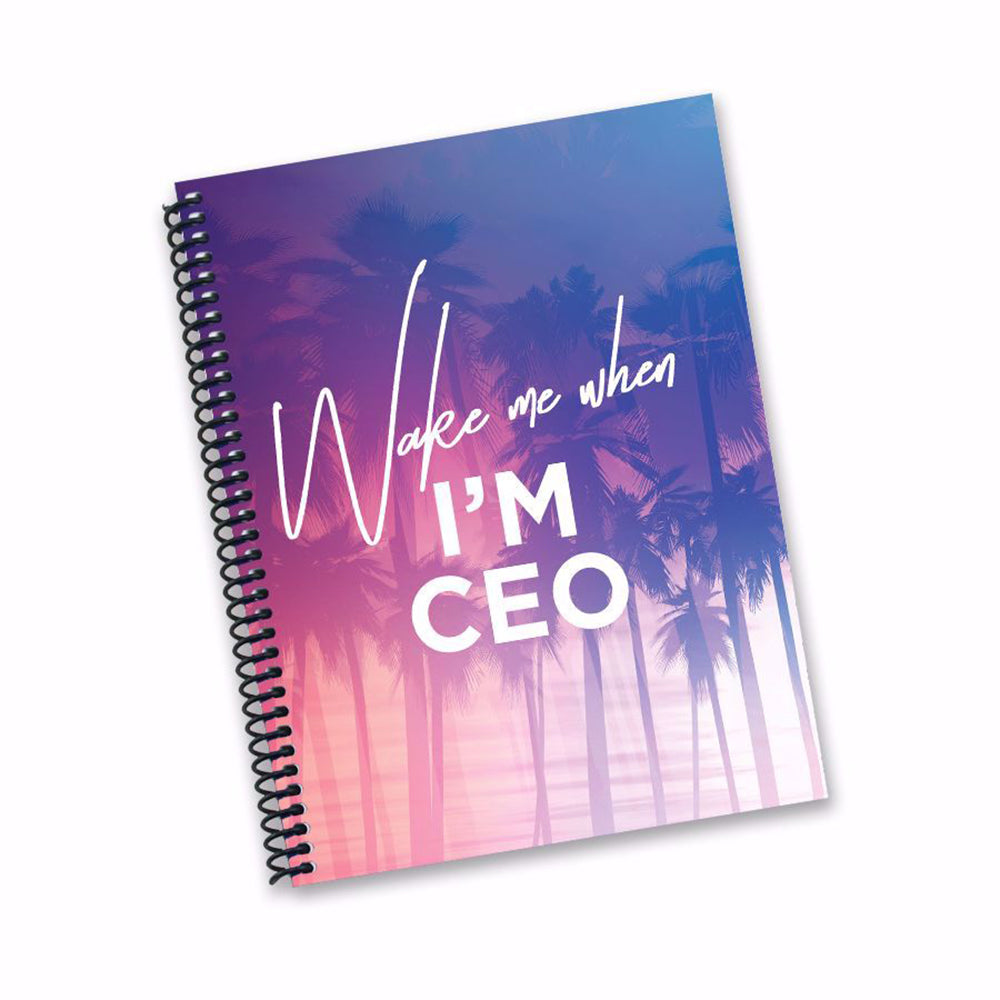 WAKE ME UP WHEN I AM THE CEO DIARY